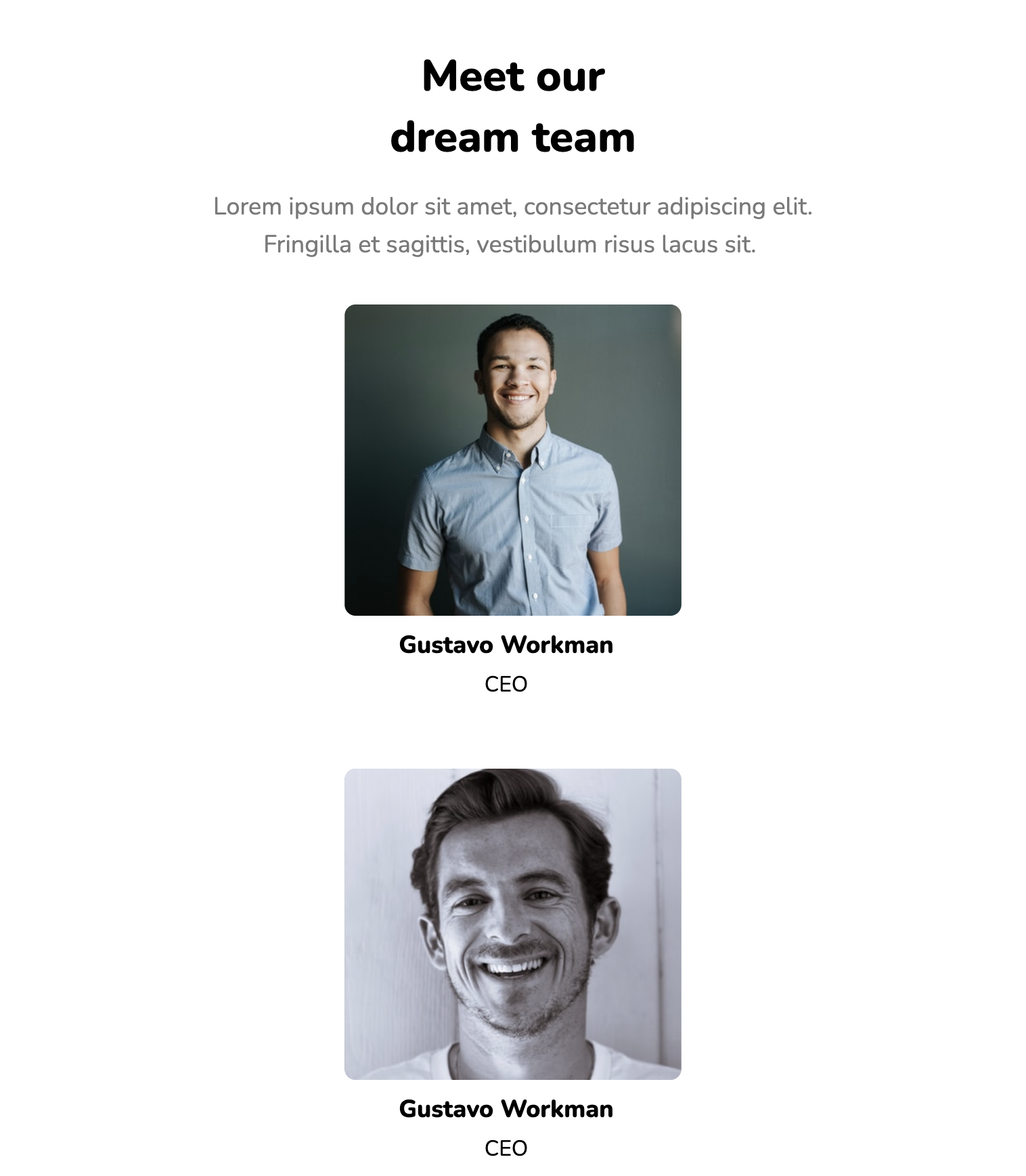 Team section for website: Simple team page tab example